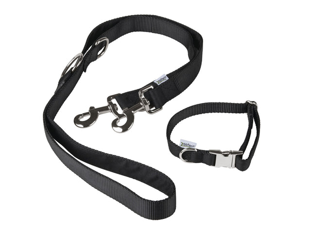 Collier pour chien avec laisse