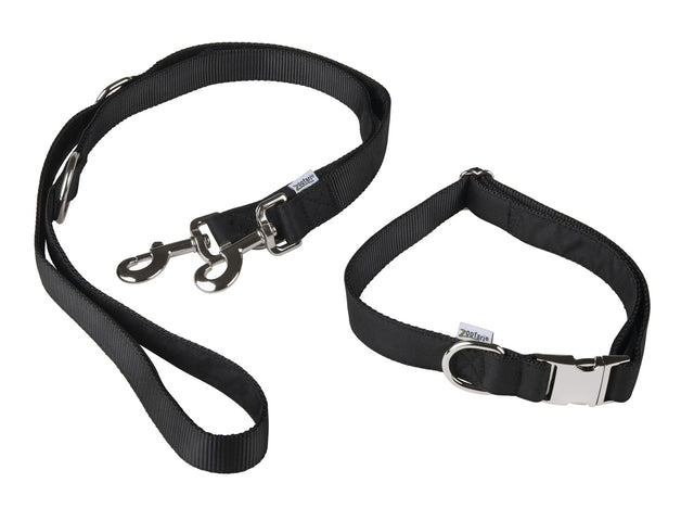Collier pour chien avec laisse