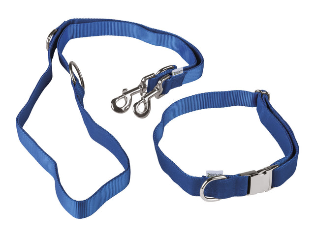 Collier pour chien avec laisse