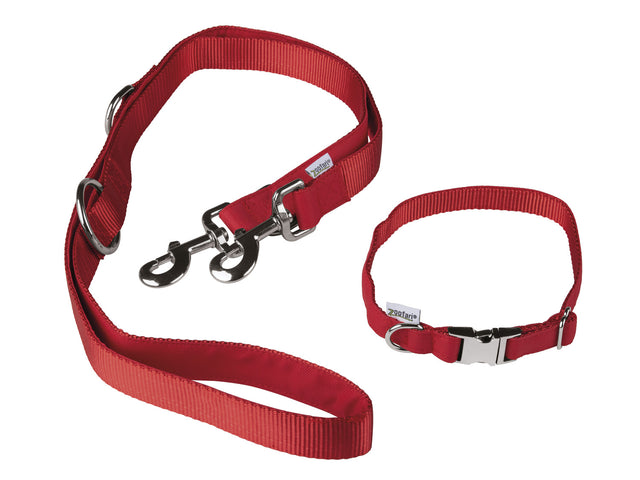 Collier pour chien avec laisse