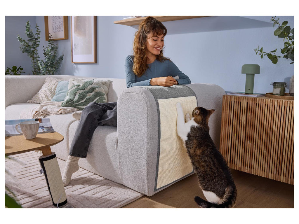 Griffoir(s) pour chat