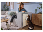 Griffoir(s) pour chat