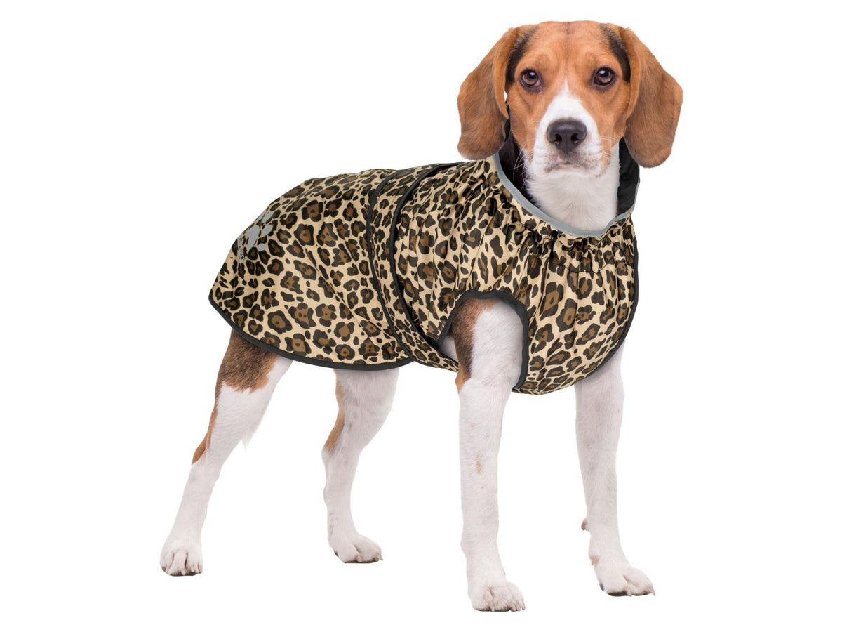Manteau imperméable pour chien