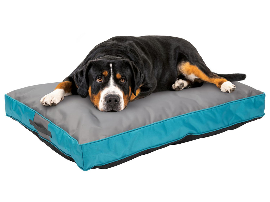 Panier d’extérieur pour chien