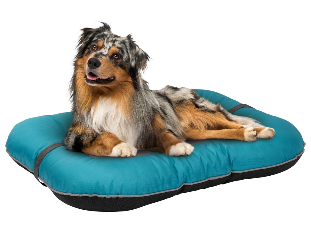 Panier d’extérieur pour chien