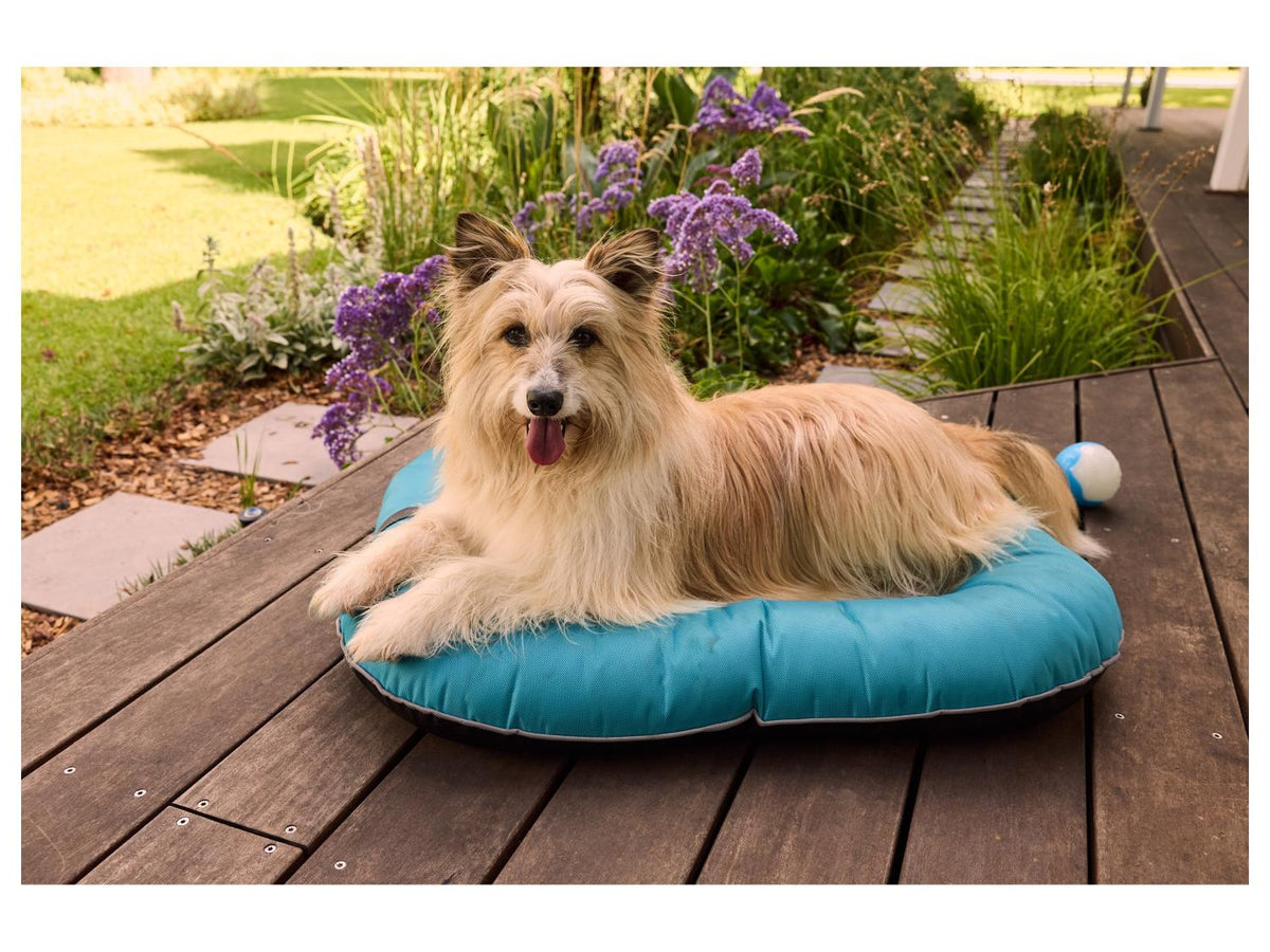 Panier d’extérieur pour chien