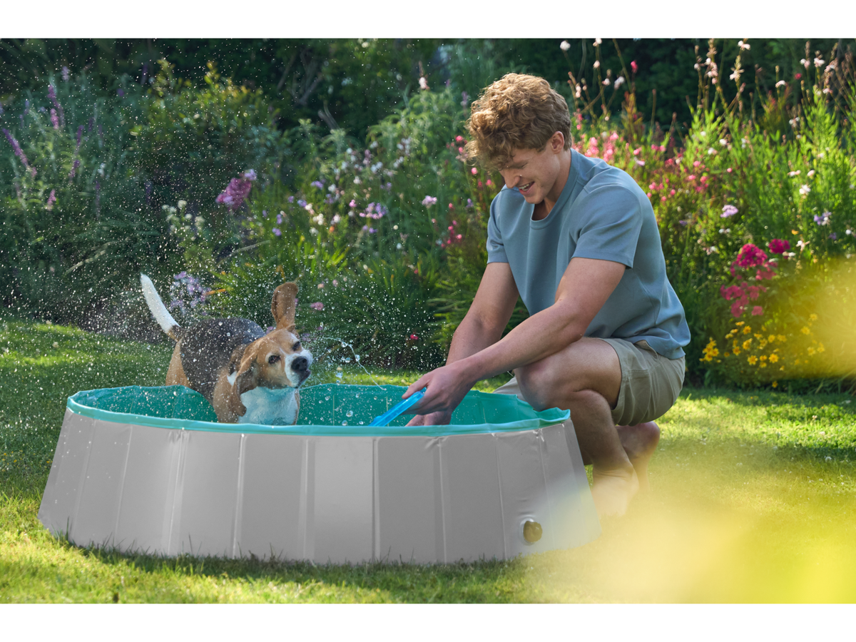 Piscine pour chien, 120 x 30 cm